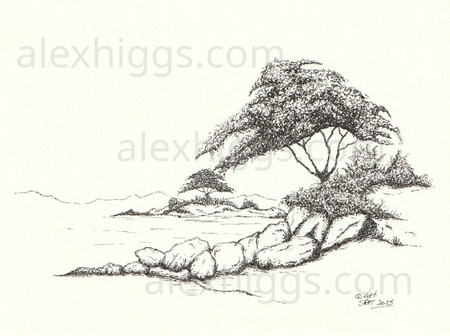 Ink sketch of trees on islands in a lake