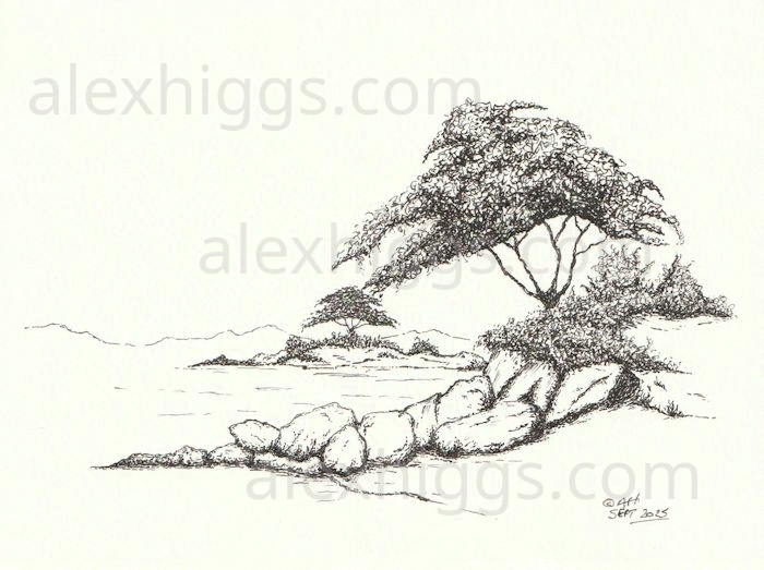 Ink sketch of trees on islands in a lake