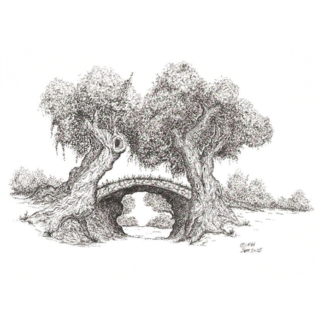 Detailed black and white illustration of a trees with a natural archway.