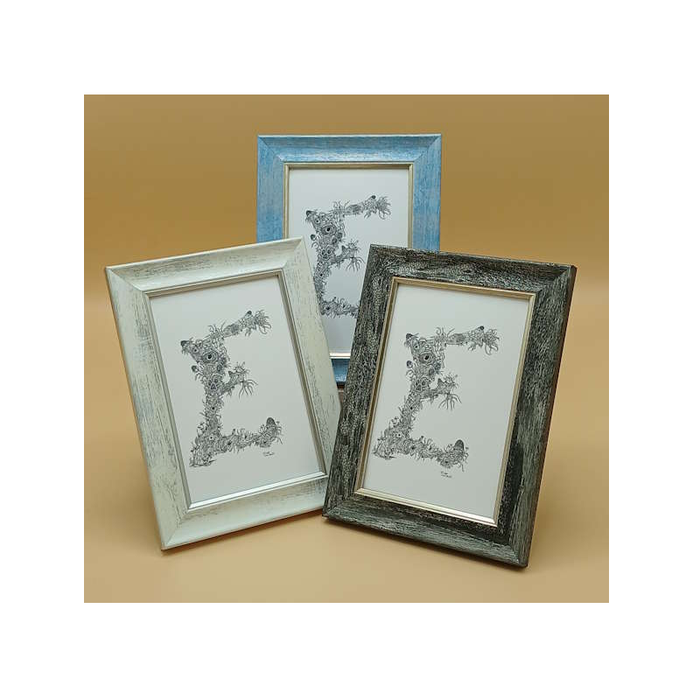 Three decorative picture frames with floral letter 'E' designs on a beige background