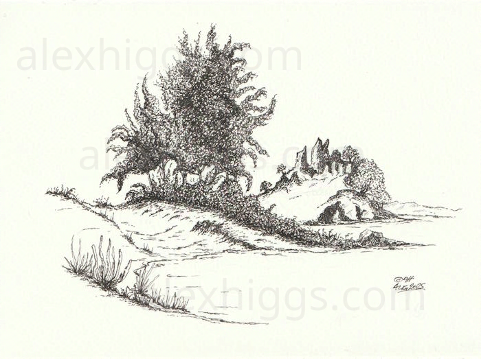 Ink sketch drawing of a tree and rocky landscape