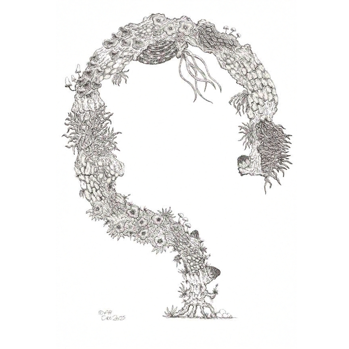 Black and white illustration of a stylized tree with intricate details on a white background